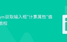 Selenium获取输入框“计算属性”值的实战教程