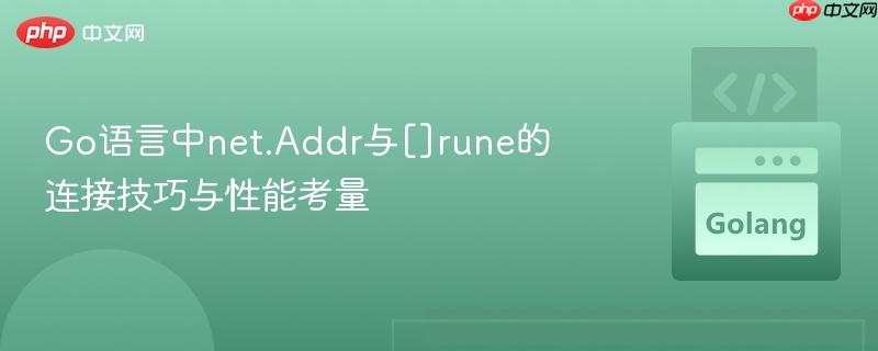 Go语言中net.Addr与[]rune的连接技巧与性能考量
