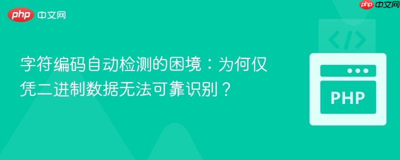 字符编码自动检测的困境：为何仅凭二进制数据无法可靠识别？