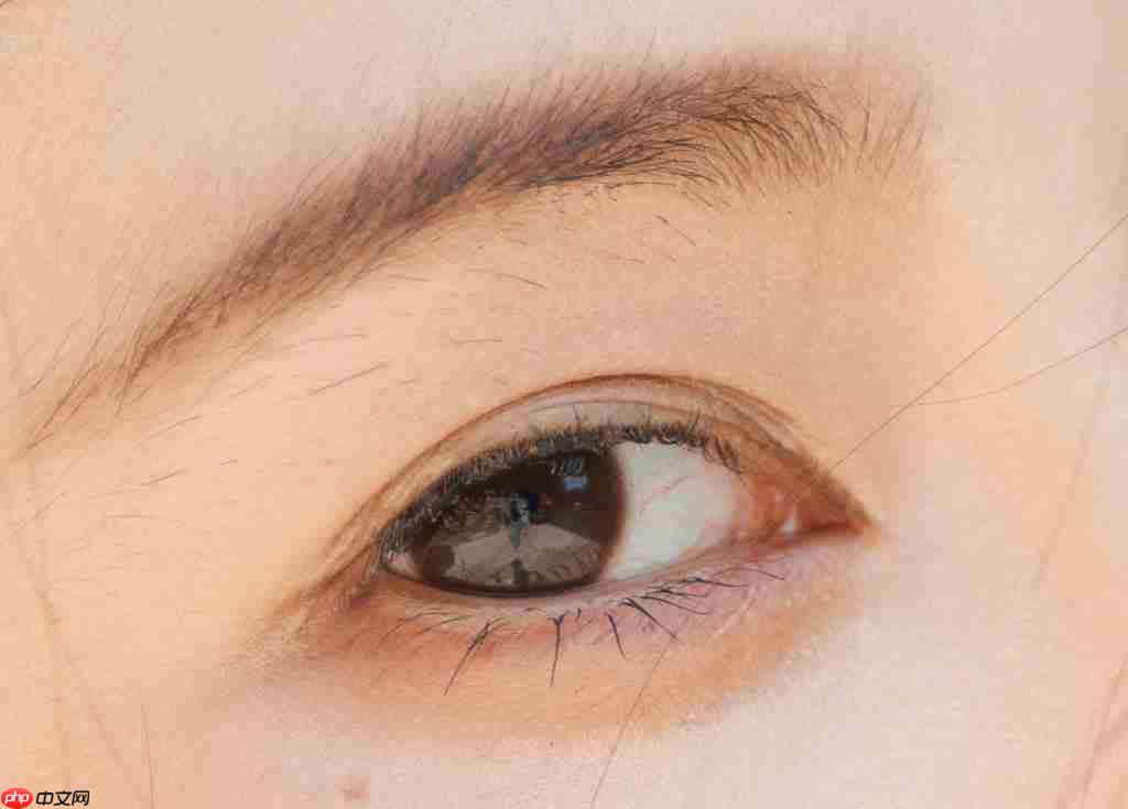  老蛙首款大光圈定焦自动对焦镜头 老蛙 AF FF 200mm F2.0 C-Dreamer 镜头评测 