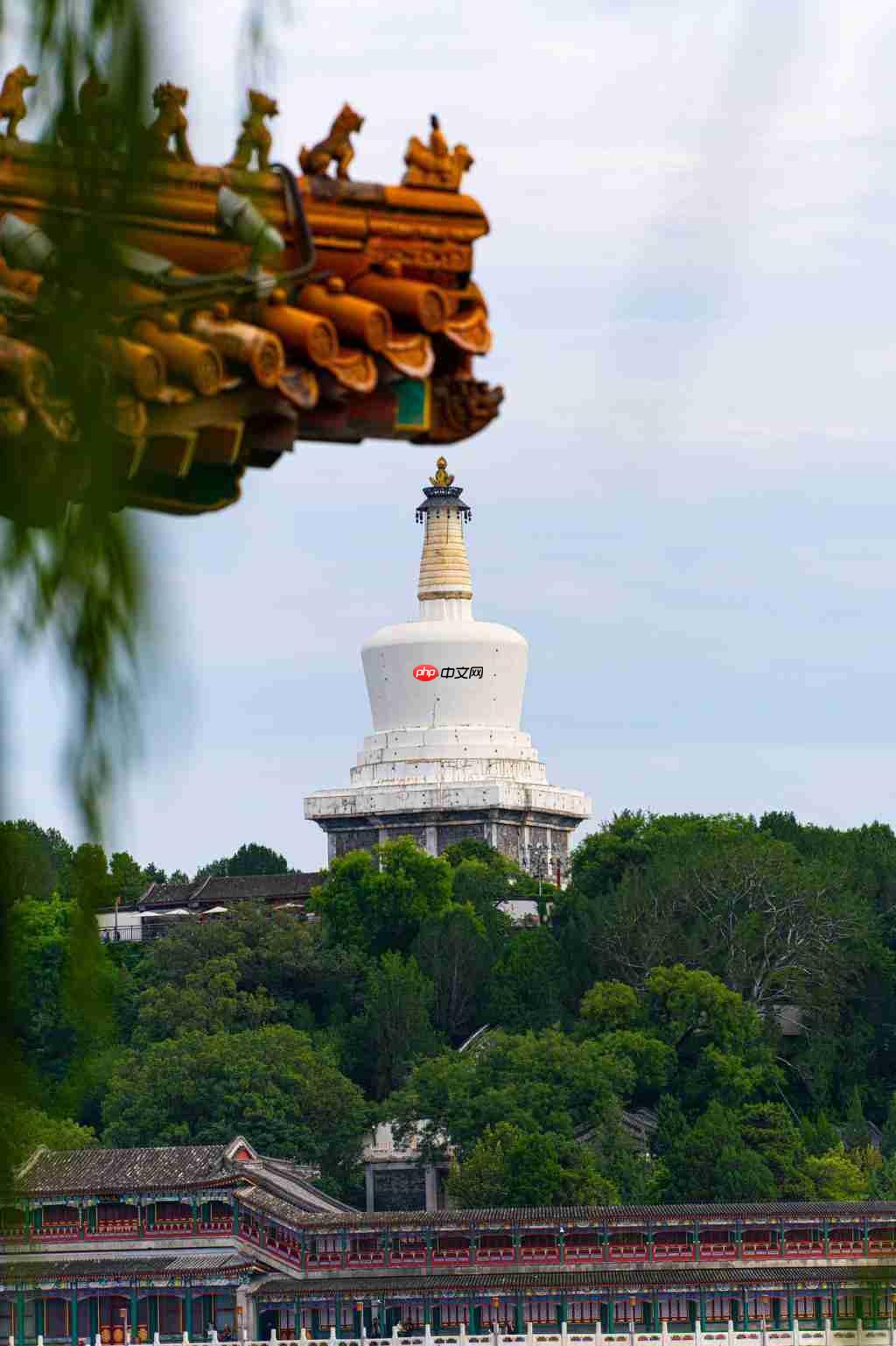  老蛙首款大光圈定焦自动对焦镜头 老蛙 AF FF 200mm F2.0 C-Dreamer 镜头评测 