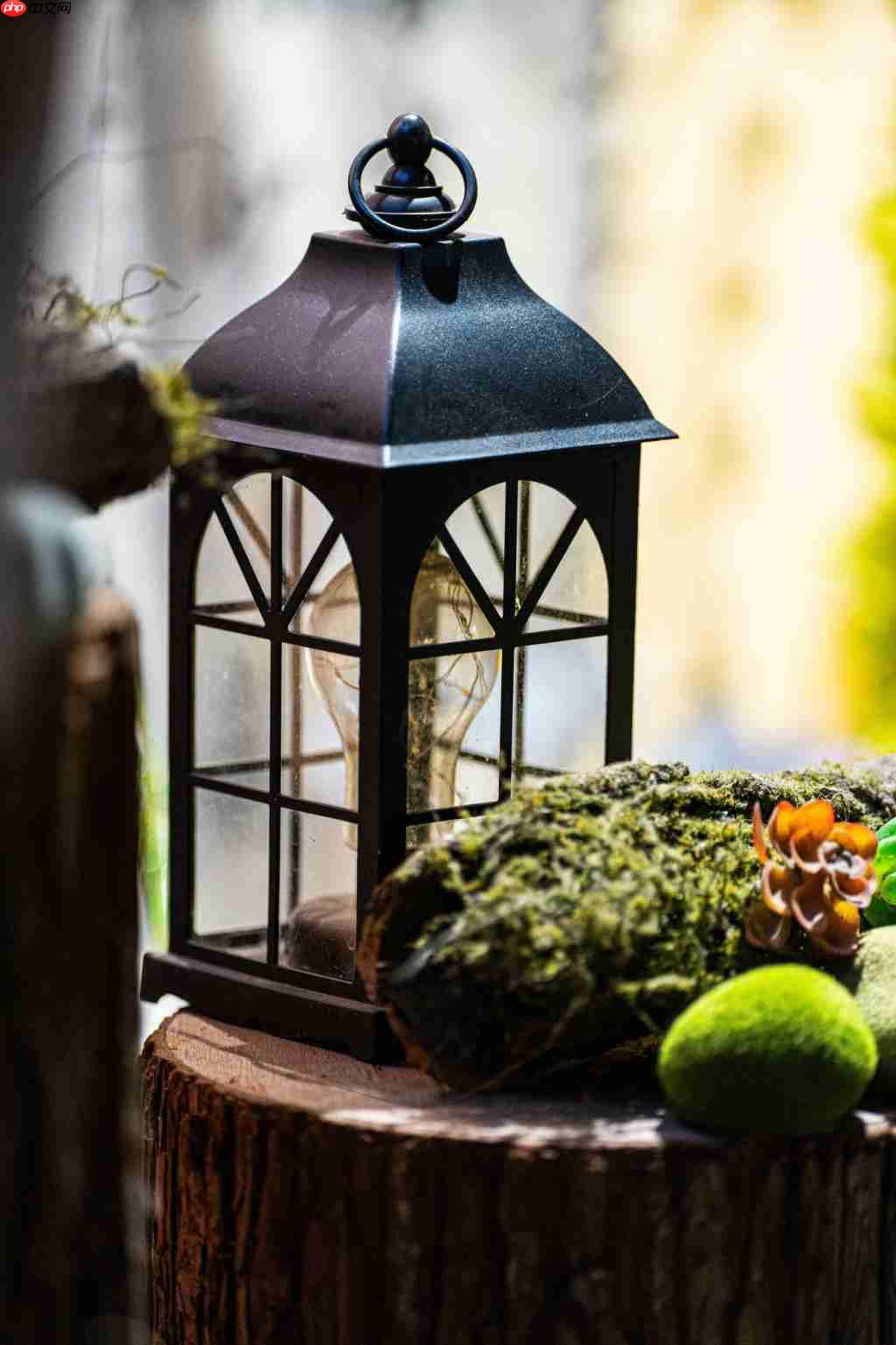  老蛙首款大光圈定焦自动对焦镜头 老蛙 AF FF 200mm F2.0 C-Dreamer 镜头评测 