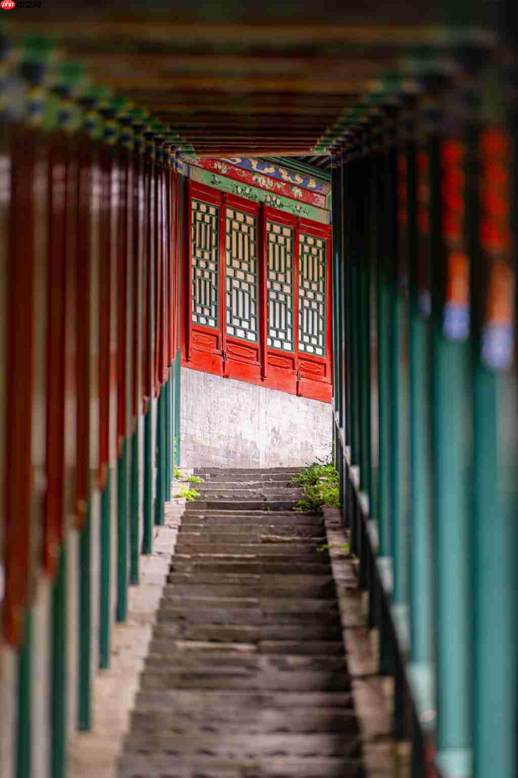  老蛙首款大光圈定焦自动对焦镜头 老蛙 AF FF 200mm F2.0 C-Dreamer 镜头评测 