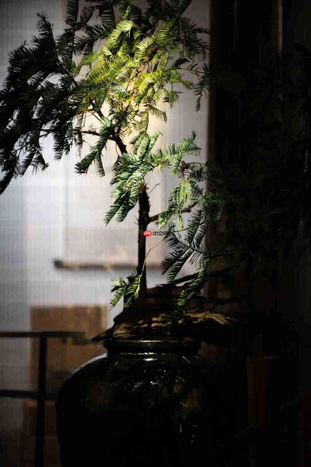  老蛙首款大光圈定焦自动对焦镜头 老蛙 AF FF 200mm F2.0 C-Dreamer 镜头评测 