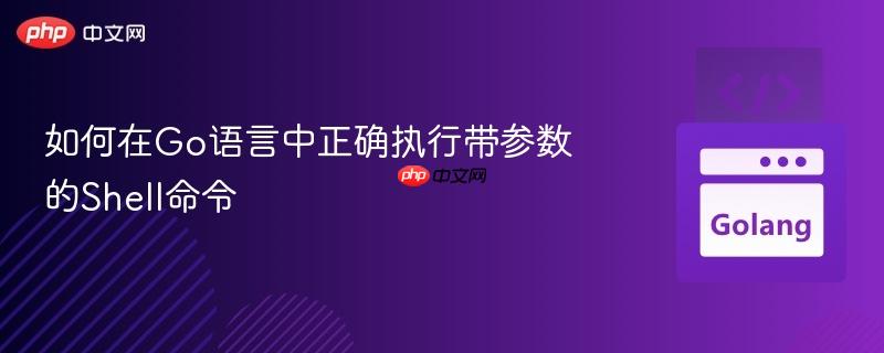 如何在Go语言中正确执行带参数的Shell命令