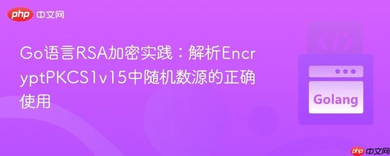 Go语言RSA加密实践：解析EncryptPKCS1v15中随机数源的正确使用