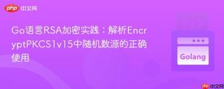 Go语言RSA加密实践：解析EncryptPKCS1v15中随机数源的正确使用