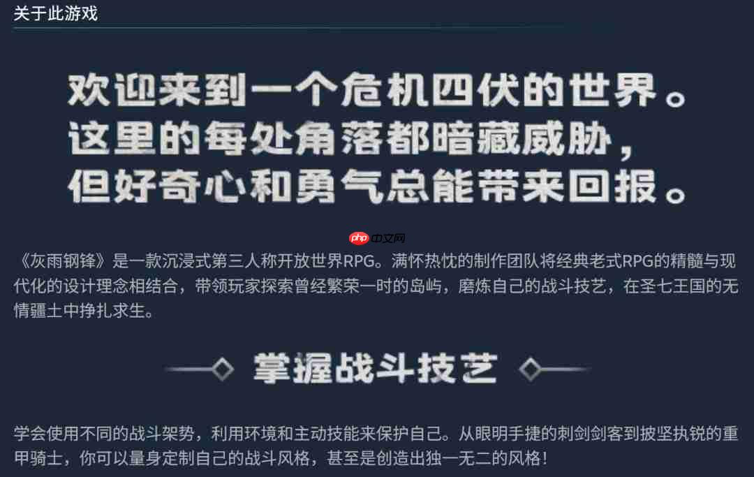 老派动作RPG《灰雨钢锋》将于11月6日发售 灵感来自《哥特王朝》《巫师》