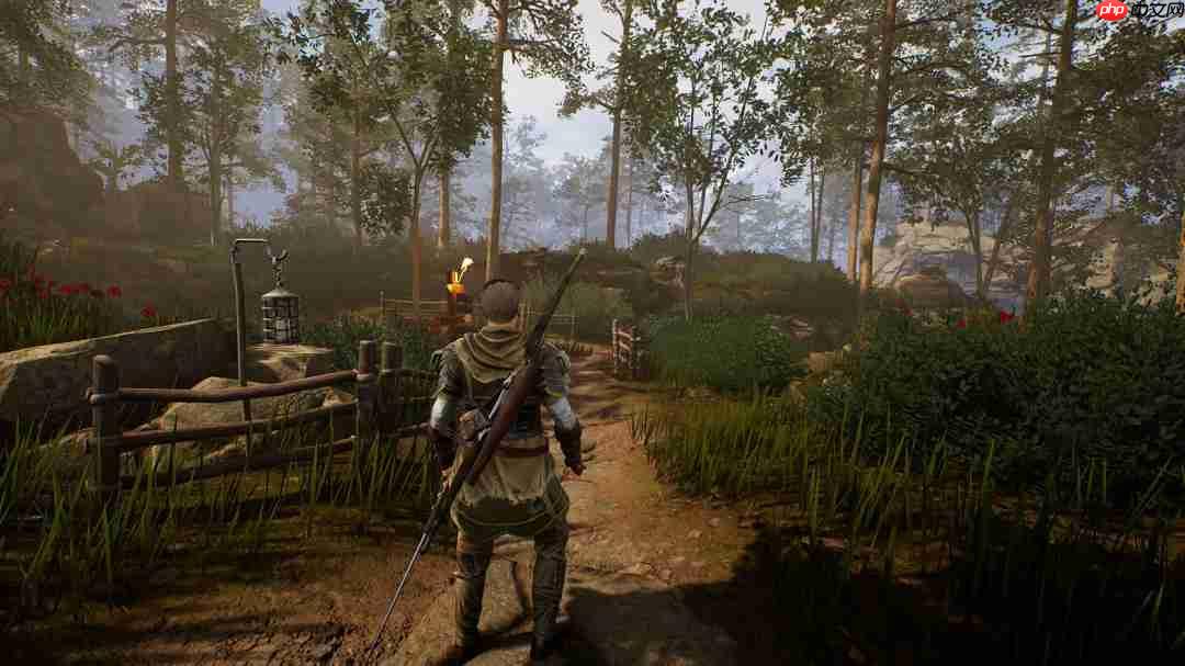 老派动作RPG《灰雨钢锋》将于11月6日发售 灵感来自《哥特王朝》《巫师》