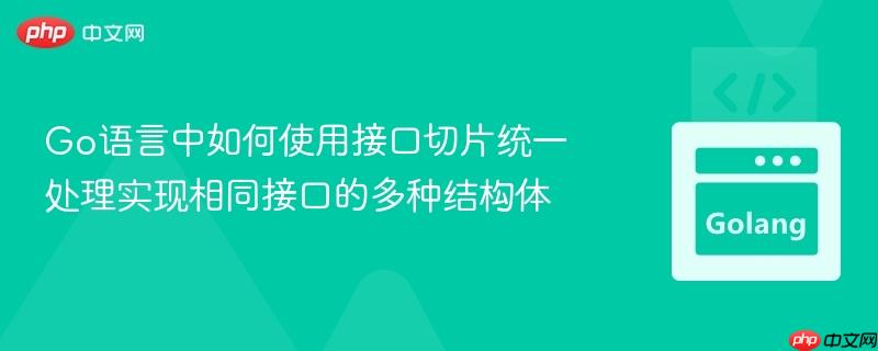 Go语言中如何使用接口切片统一处理实现相同接口的多种结构体