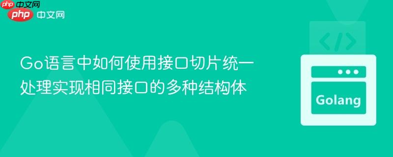 Go语言中如何使用接口切片统一处理实现相同接口的多种结构体
