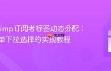 Mailchimp订阅者标签动态分配：基于表单下拉选择的实现教程
