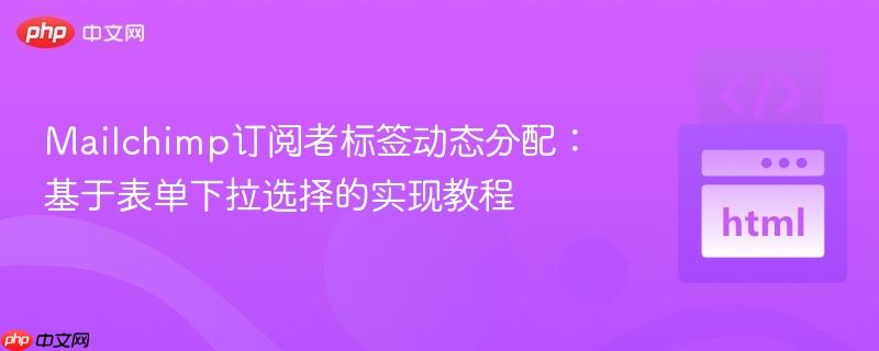 Mailchimp订阅者标签动态分配：基于表单下拉选择的实现教程
