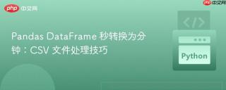 Pandas DataFrame 秒转换为分钟：CSV 文件处理技巧