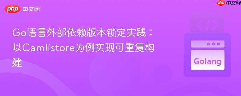 Go语言外部依赖版本锁定实践：以Camlistore为例实现可重复构建