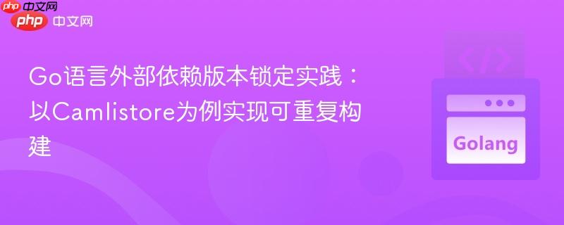 Go语言外部依赖版本锁定实践:以Camlistore为例实现可重复构建