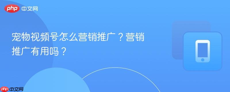 宠物视频号怎么营销推广？营销推广有用吗？