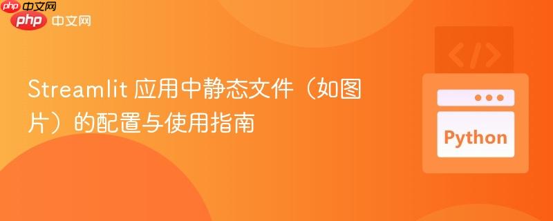 Streamlit 应用中静态文件(如图片)的配置与使用指南