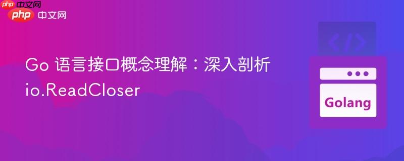 Go 语言接口概念理解:深入剖析 io.ReadCloser