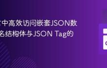 Go语言中高效访问嵌套JSON数据：匿名结构体与JSON Tag的实践