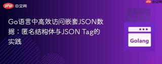 Go语言中高效访问嵌套JSON数据：匿名结构体与JSON Tag的实践