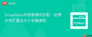 Snowflake外部表模式匹配：处理文件扩展名大小写敏感性
