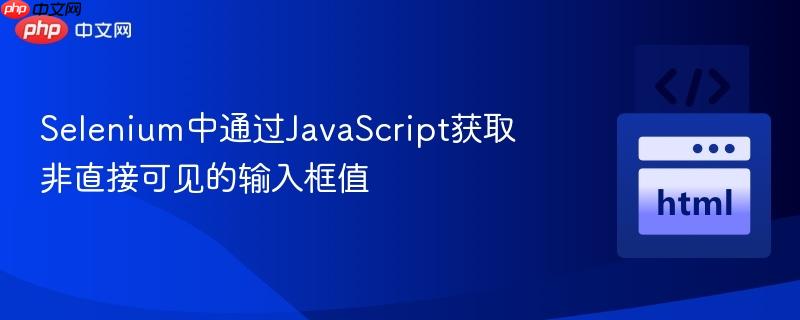 Selenium中通过JavaScript获取非直接可见的输入框值