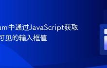 Selenium中通过JavaScript获取非直接可见的输入框值