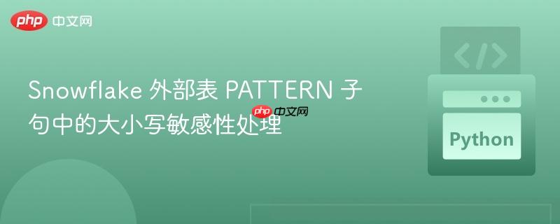 Snowflake 外部表 PATTERN 子句中的大小写敏感性处理