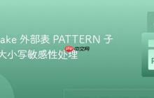 Snowflake 外部表 PATTERN 子句中的大小写敏感性处理