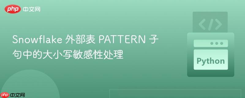 Snowflake 外部表 PATTERN 子句中的大小写敏感性处理