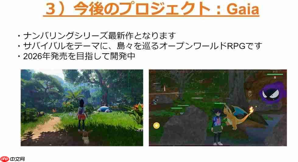 宝可梦大泄露：第十代、开放世界、未来规划一览无遗