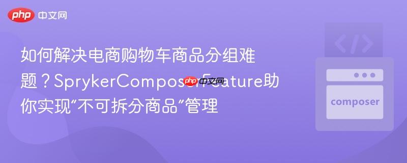 如何解决电商购物车商品分组难题？SprykerComposerFeature助你实现“不可拆分商品”管理