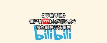 B站怎样清理僵尸粉