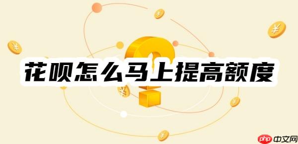 花唄怎么馬上提高額度？5種漲額度最快方法！最快實(shí)時(shí)提額