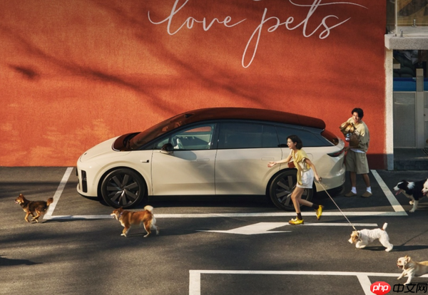 理想汽车产品线负责人回应i6交付情况 16日起提速供应