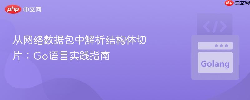 从网络数据包中解析结构体切片：Go语言实践指南