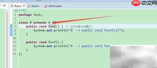 Java多态基础解析