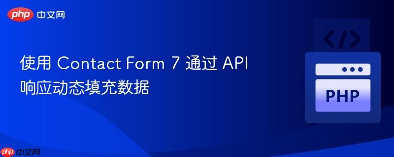 使用 Contact Form 7 通过 API 响应动态填充数据