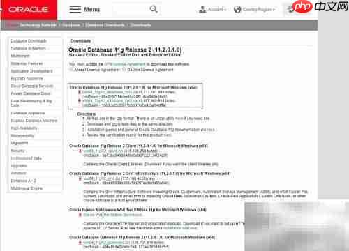 Oracle數(shù)據(jù)庫(kù)下載指南