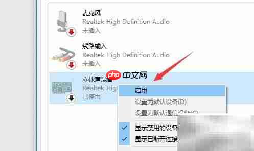 Win10立体声混音设置指南