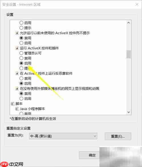ActiveX控件无法显示解决方法