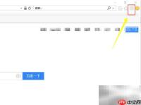 ActiveX控件无法显示解决方法