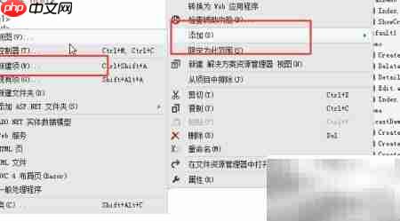 C Razor母版页使用指南