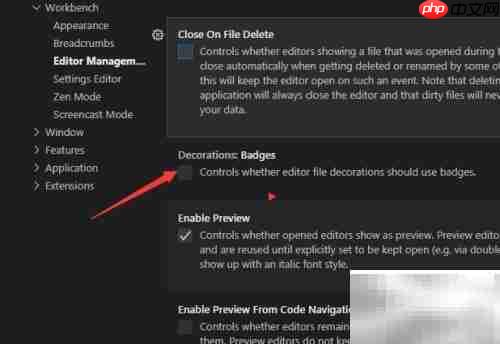 VS Code装饰徽章设置方法