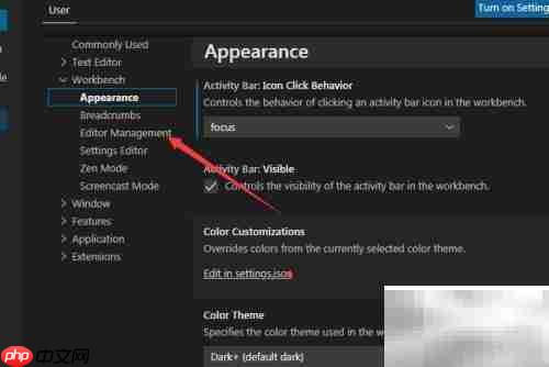 VS Code装饰徽章设置方法