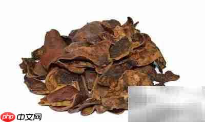 中草药精华提取方法