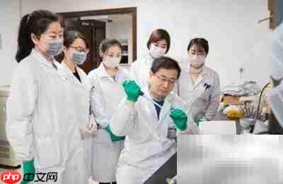 中草药精华提取方法