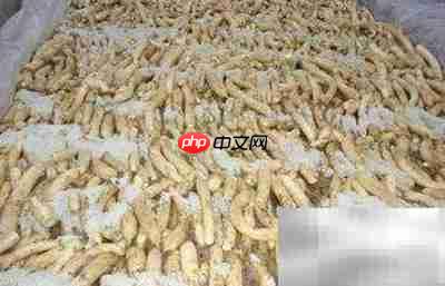 中草药精华提取方法