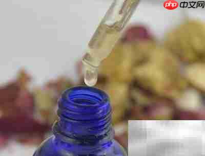 中草药精华提取方法